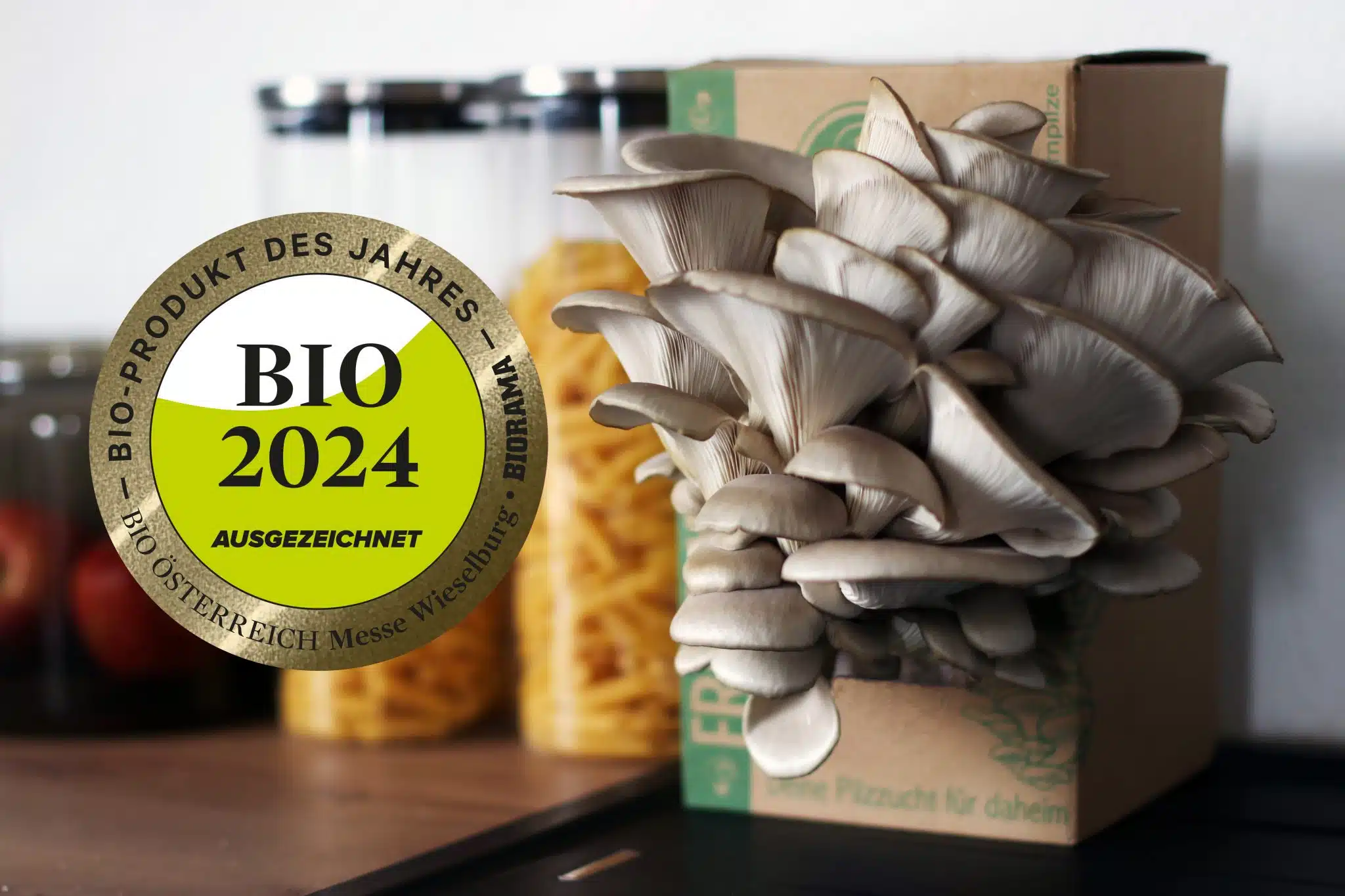 Frische-Pilze-Box (Bio-Blauer Austernpilz-Pilzzuchtset) – Bild 3