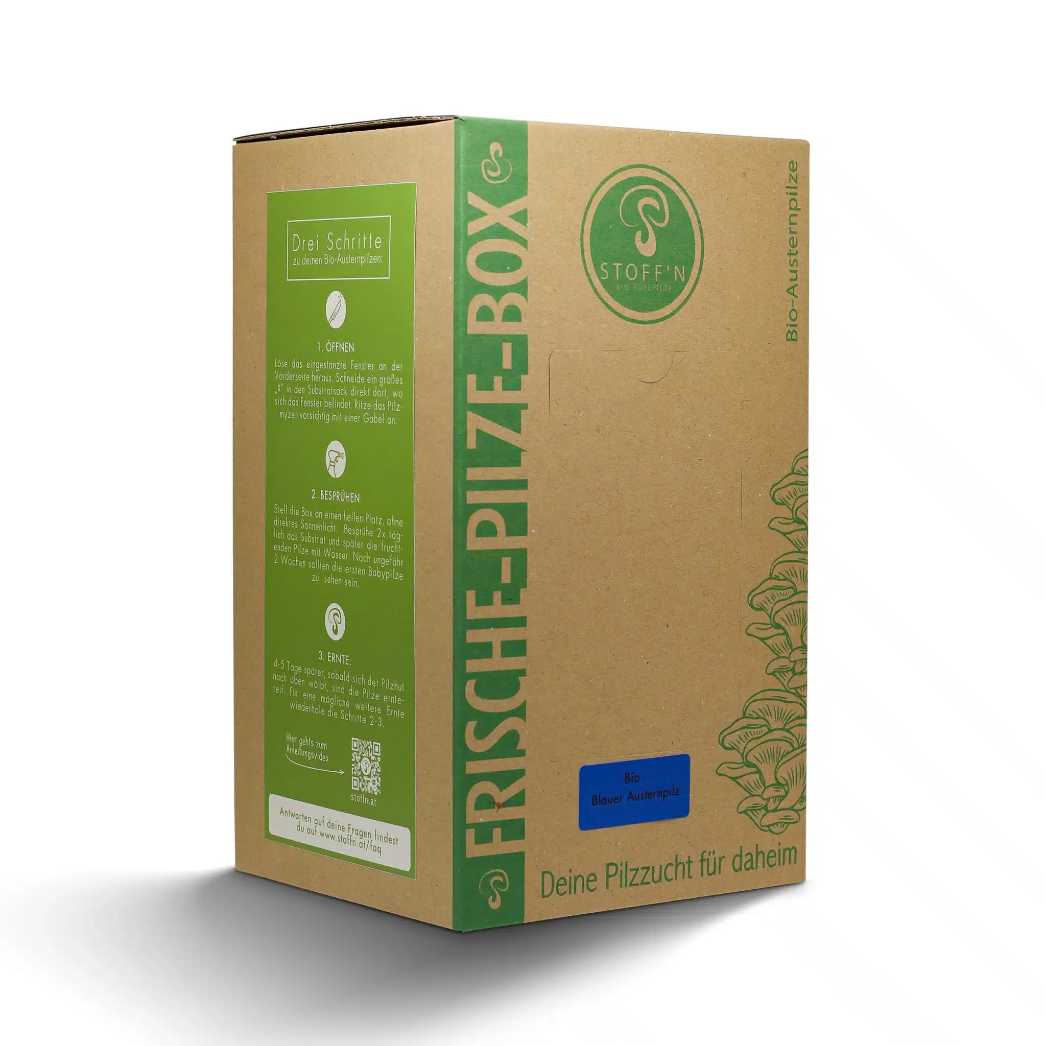 Frische-Pilze-Box (Bio-Blauer Austernpilz-Pilzzuchtset) – Bild 2