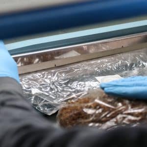 Pilzzucht-Filtersäcke L