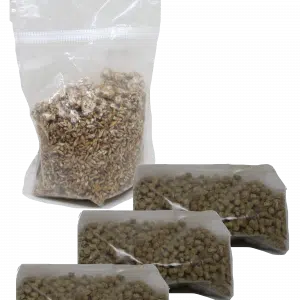 Pilzzucht für Zuhause Set