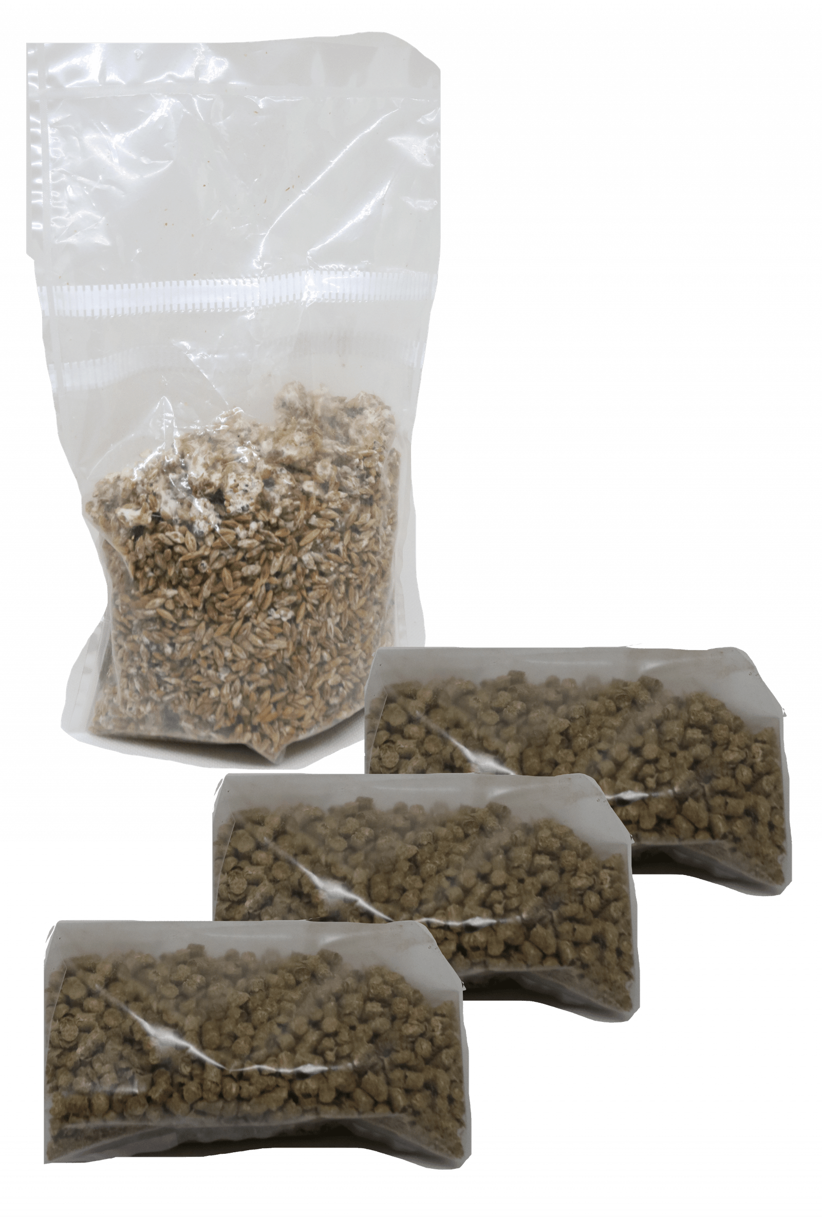 Pilzzucht für Zuhause Set