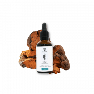 Stoff'n Bio-Chaga Flüssigextrakt
