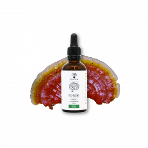 Stoff'n Bio-Reishi Flüssigextrakt