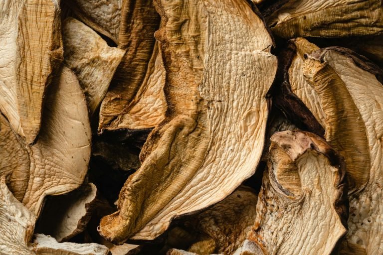 Detailed close-up of dried porcini mushrooms, showcasing their textured surface.
