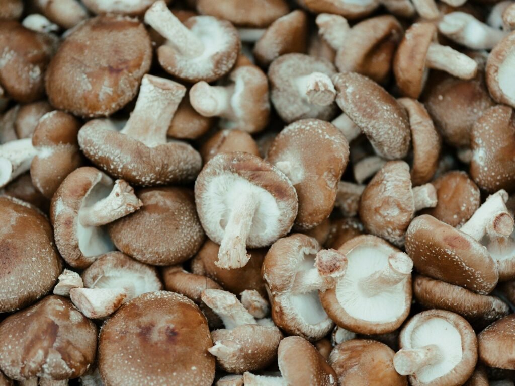 brown and white mushrooms on brown wooden surface